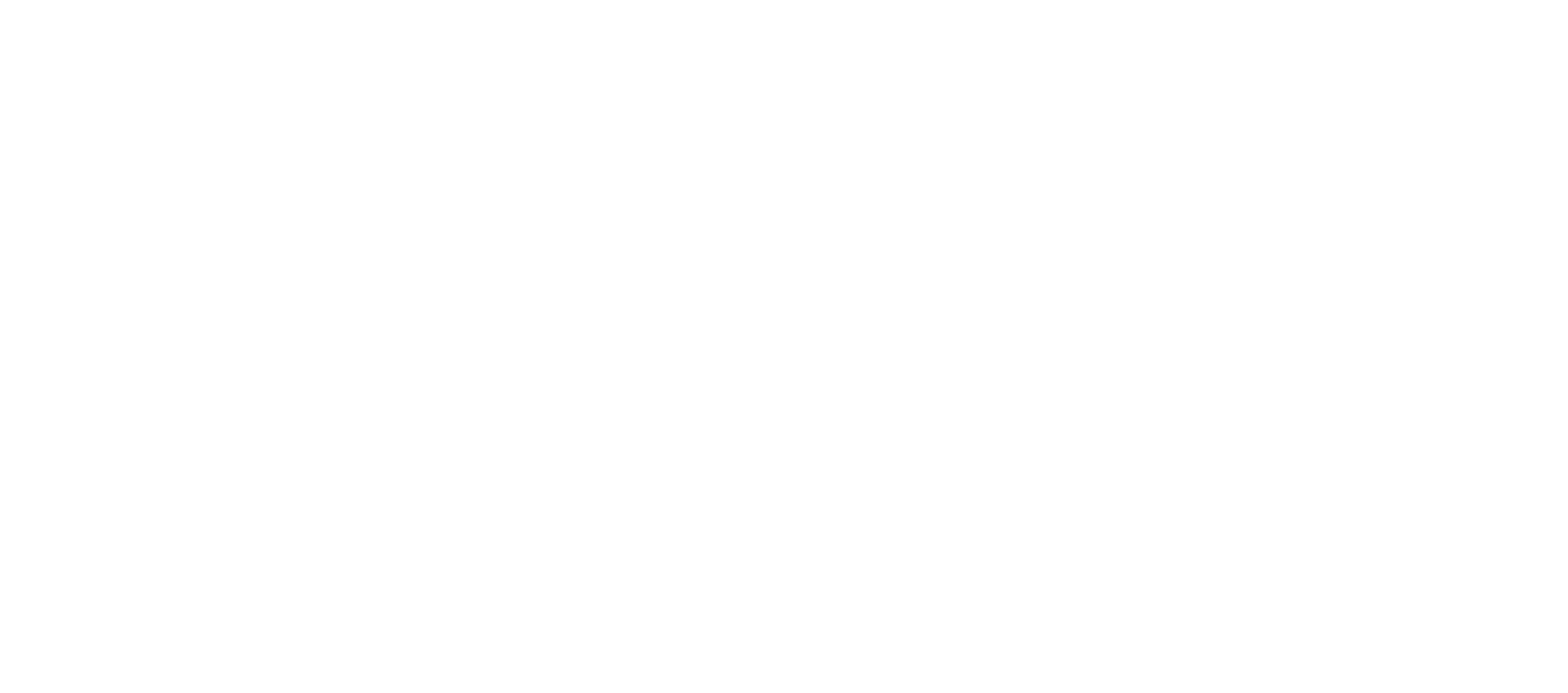 ShaneCo